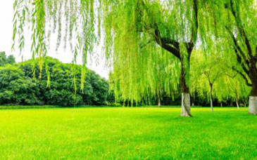 2026年河北省普通高校招生艺术类专业统考考生须知