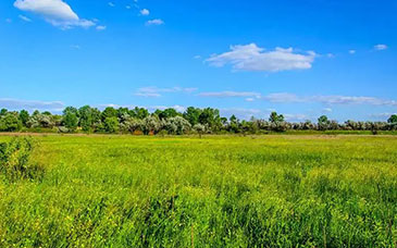 教育部“六个一”，推进青少年法治教育融入学校教育各阶段