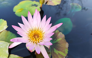 省考试院发布2026年高考报名常见问题