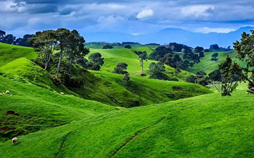 未来五年教育怎么干？“十五五”规划建议指明方向