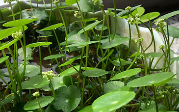 高校公示！多个专业，拟上涨学费