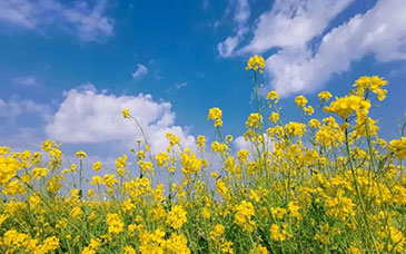 高校毕业生就业工作座谈会举行