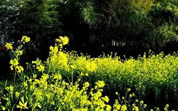 教育部等7部门发文部署加强中小学科技教育