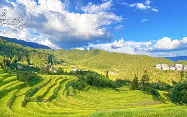 座谈会划重点：“十五五”基础教育要突破哪些关键问题