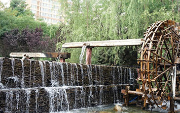 考研报名人数缘何“三连降”？变化背后释放了哪些新的信号