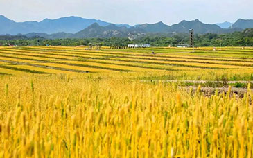 体育总局办公厅关于发布《2026年体育单招考生指南》的通告