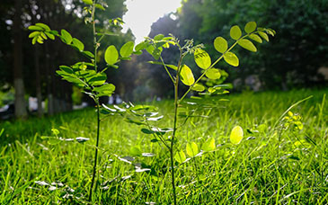 2026年美术与设计类、书法类专业统考考生，今天起可打印《准考证》