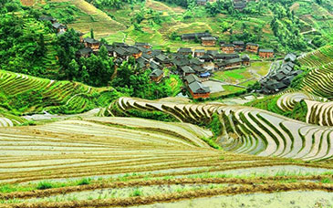 河北40余所高校向中小学生开放实验室和科普基地