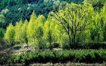 技能型高校建设，如何与时代“同频共振”？