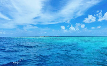 教育部发文，加强学前儿童学籍规范管理