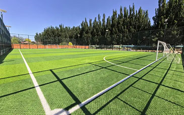 正式上线！全国中小学生学籍信息管理系统2.0版来了