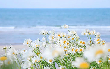 2026年，一批教育新规实施