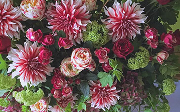 快评：当心披着“名校光环”的招生骗局